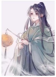 放開朕,朕沒孕