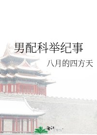 男配科举纪事