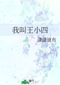 我叫王小四