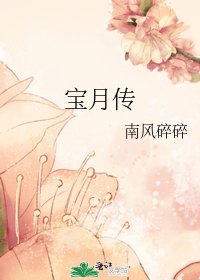 宝月传