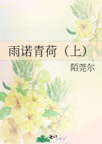 雨诺青荷（上）