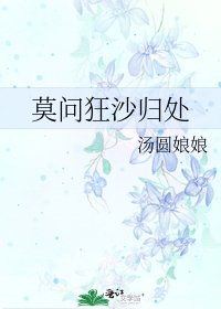 莫问狂沙归处
