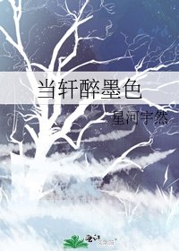 當軒醉墨色