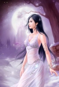極品小廚工