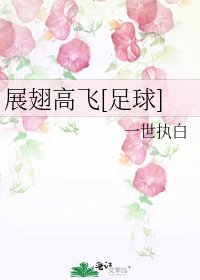 （足球同人）展翅高飞[足球]